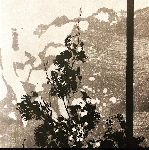 Suiboku-ga - Japanese Ink Painting - With the Most Prominent